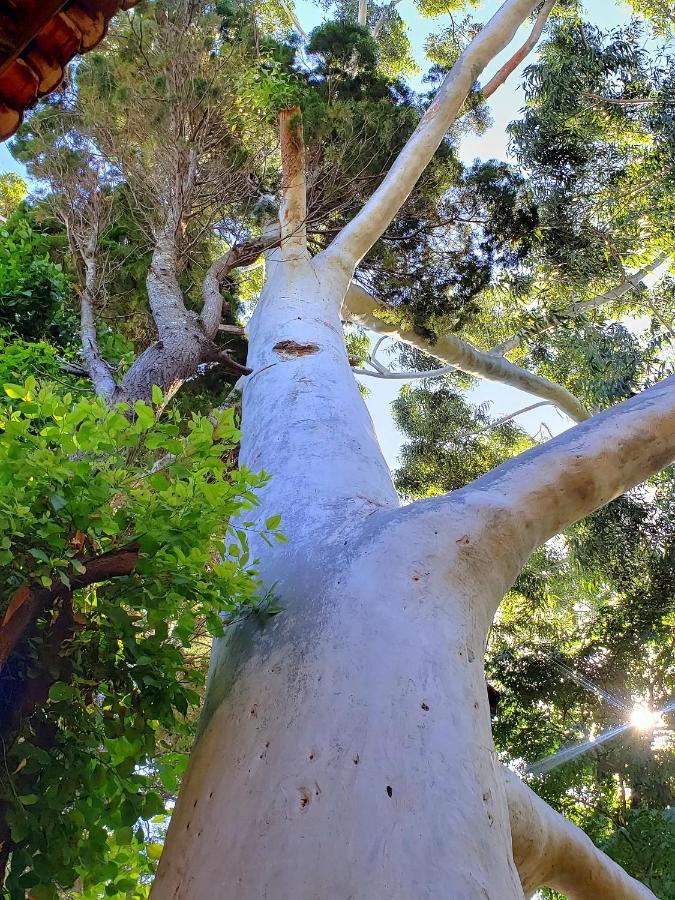 Cabana Em Bosque Encantado! Сasa de vacaciones *